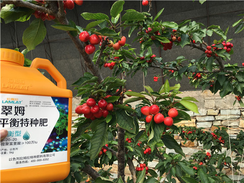 水溶肥，拉姆拉，翠姆