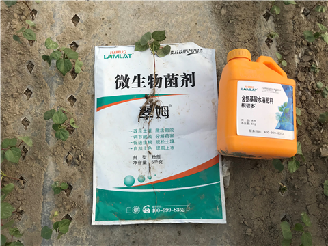 水溶肥，拉姆拉，翠姆