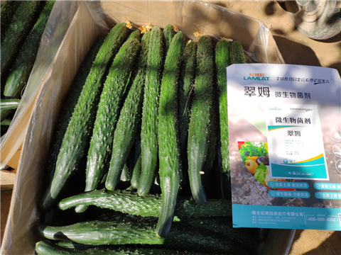 微生物菌劑，拉姆拉，翠姆