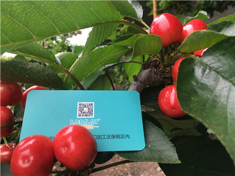 大量元素水溶肥，拉姆拉，翠姆