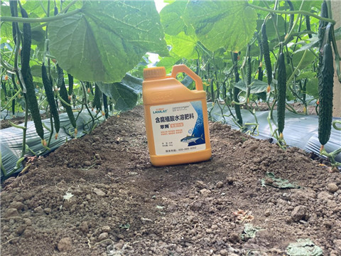 作物施肥管理，拉姆拉，翠姆