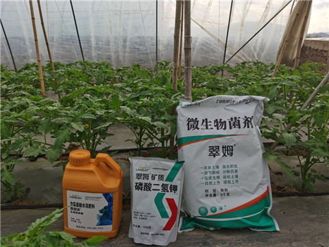 水溶肥，拉姆拉，翠姆