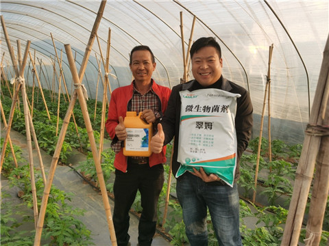 水溶肥，拉姆拉，翠姆