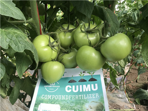 水溶肥，拉姆拉，翠姆