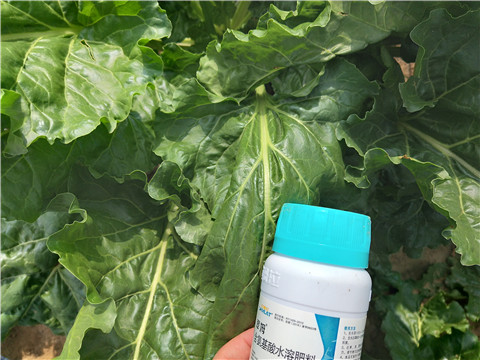 水溶肥，拉姆拉，翠姆