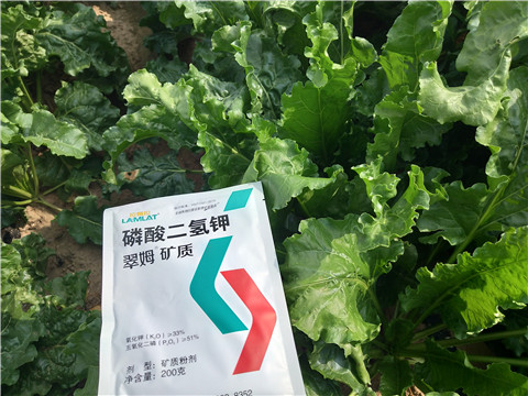 水溶肥，拉姆拉，翠姆