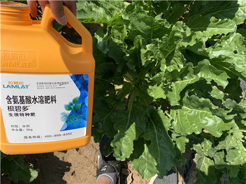 水溶肥，拉姆拉，翠姆