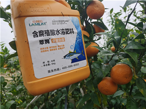 水溶肥，拉姆拉，翠姆