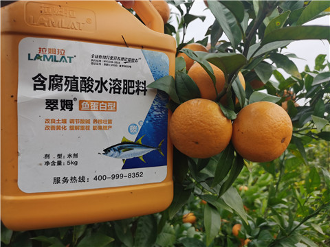 水溶肥，拉姆拉，翠姆