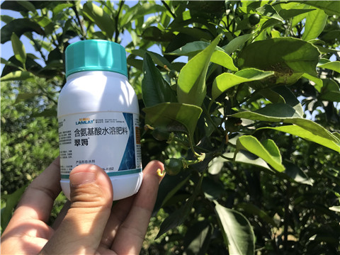 葉面肥，拉姆拉，翠姆