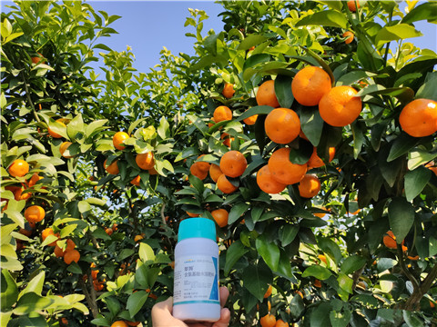 葉面肥，拉姆拉，翠姆