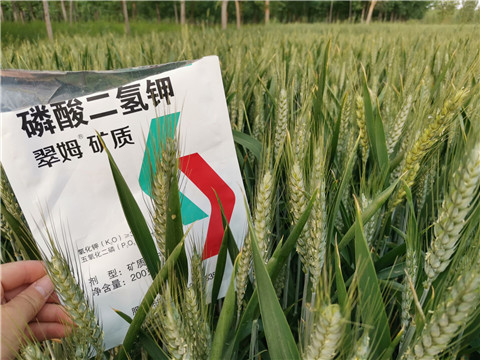 葉面肥，水溶肥，磷酸二氫鉀