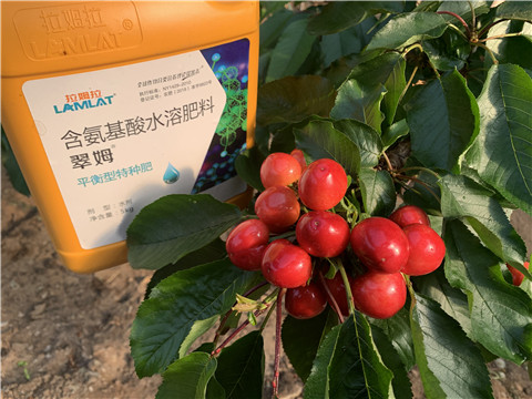 水溶肥，拉姆拉，翠姆