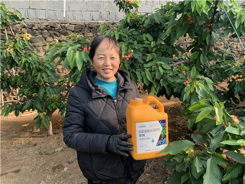 水溶肥，拉姆拉，翠姆