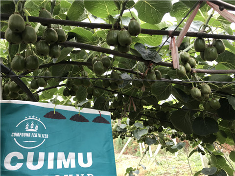 顆粒復(fù)合肥，拉姆拉，翠姆