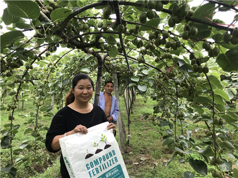 顆粒復(fù)合肥，拉姆拉，翠姆