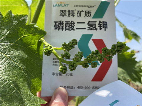 磷酸二氫鉀，拉姆拉，翠姆