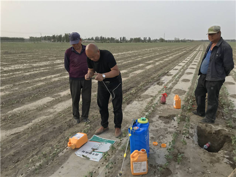 水溶肥，拉姆拉，翠姆