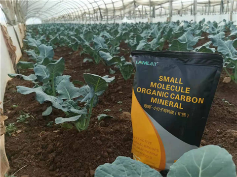 小分子有機(jī)碳，拉姆拉，翠姆