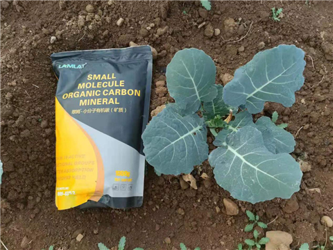 小分子有機(jī)碳，拉姆拉，翠姆