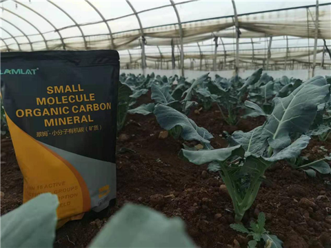 小分子有機(jī)碳，拉姆拉，翠姆