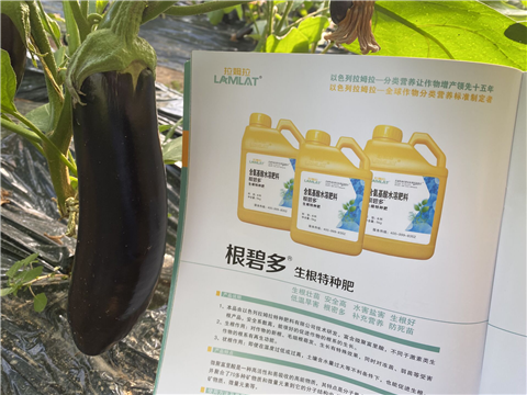 水溶肥，拉姆拉，翠姆