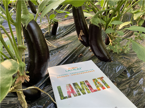 水溶肥，拉姆拉，翠姆