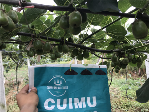 顆粒水溶肥，拉姆拉，翠姆