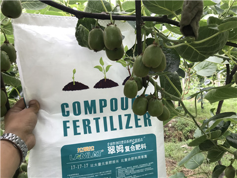 顆粒水溶肥，拉姆拉，翠姆