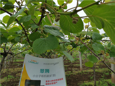 小分子有機碳，拉姆拉，翠姆