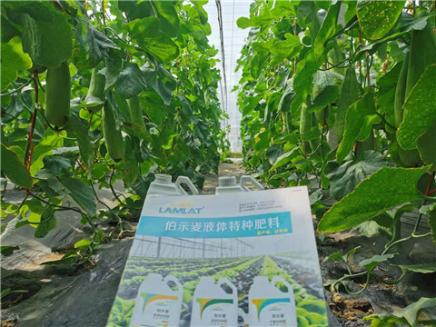 水溶肥，拉姆拉，翠姆