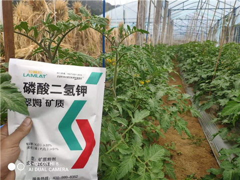 磷酸二氫鉀，拉姆拉，翠姆