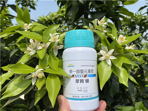 葉面肥，拉姆拉，翠姆