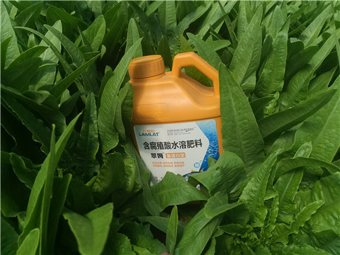 沖施肥，拉姆拉，翠姆