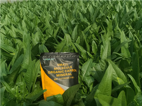 礦源黃腐酸鉀，拉姆拉，翠姆