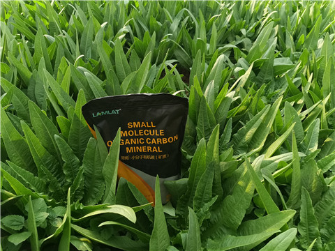 礦源黃腐酸鉀，拉姆拉，翠姆