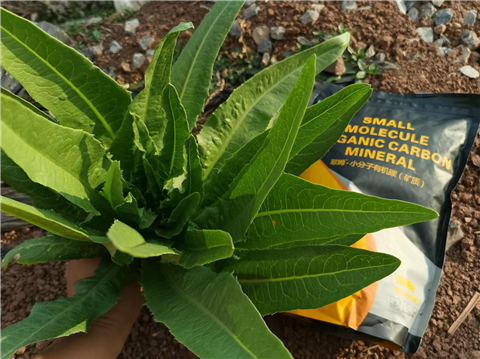 礦源黃腐酸鉀，拉姆拉，翠姆