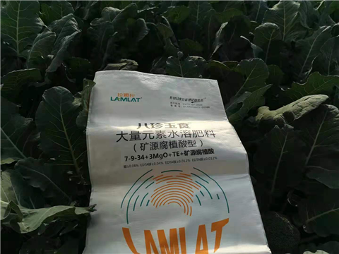 大量元素水溶肥，拉姆拉，翠姆