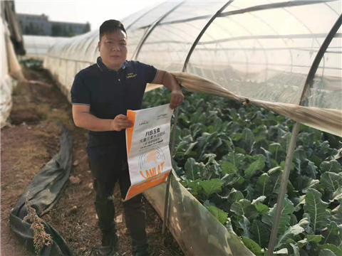 大量元素水溶肥，拉姆拉，翠姆