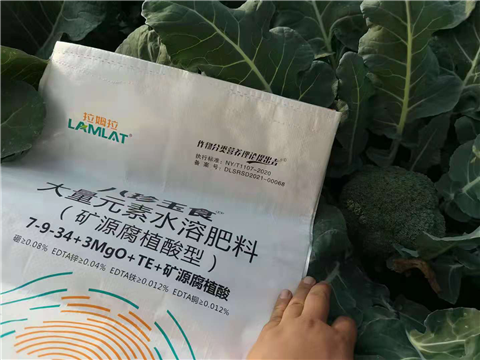 大量元素水溶肥，拉姆拉，翠姆