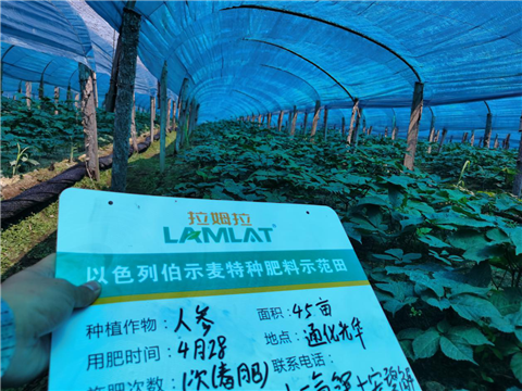 水溶肥，拉姆拉，翠姆