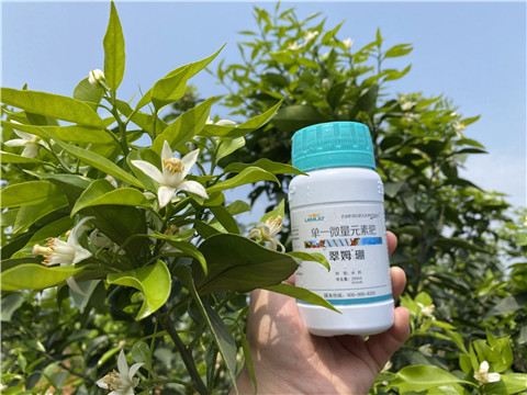 硼肥，拉姆拉，翠姆