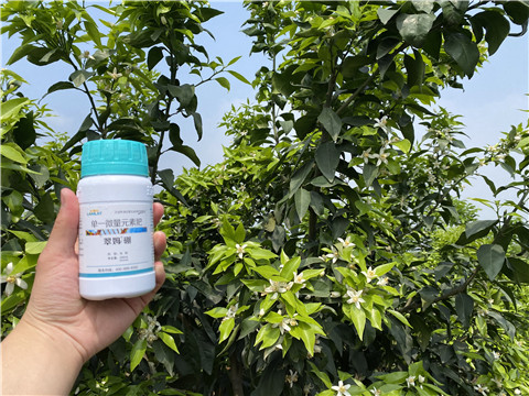 硼肥，拉姆拉，翠姆