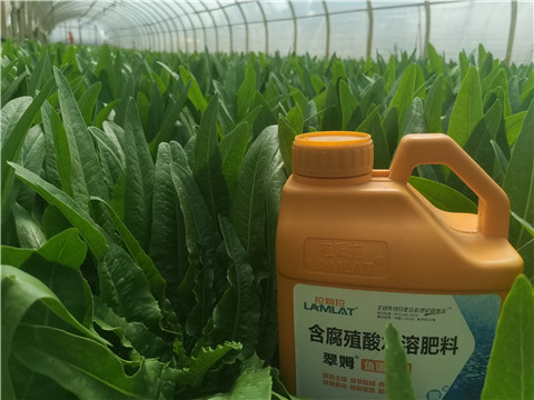 水溶肥，翠姆，拉姆拉