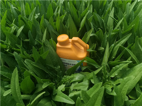 水溶肥，翠姆，拉姆拉