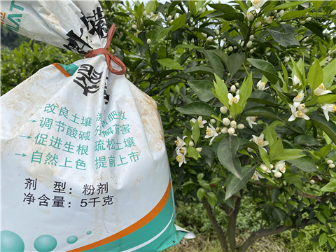 水溶肥，翠姆，拉姆拉