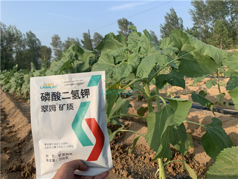 水溶肥，翠姆，拉姆拉