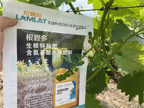 水溶肥，拉姆拉，翠姆